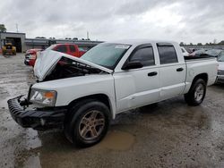 Dodge salvage cars for sale: 2010 Dodge Dakota SXT