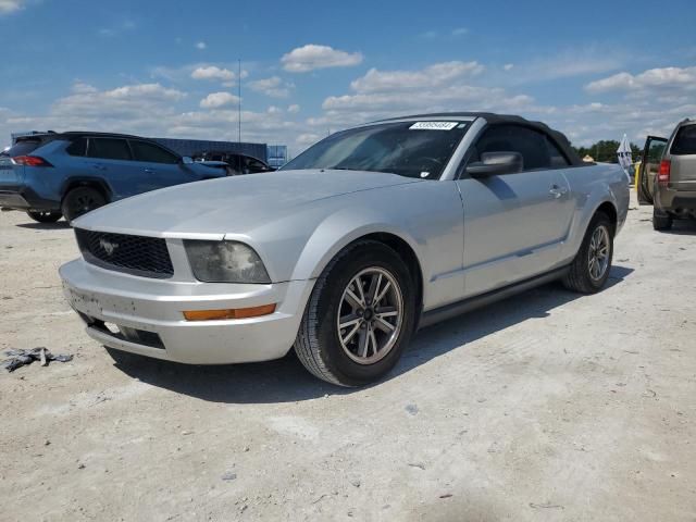 2005 Ford Mustang