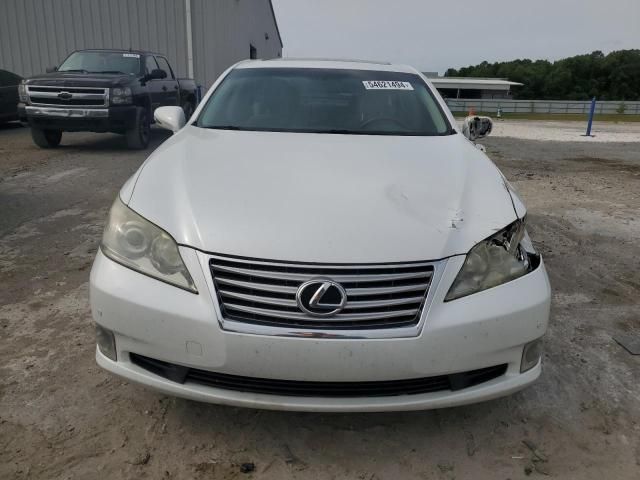 2010 Lexus ES 350