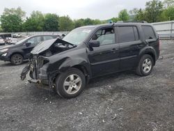 Salvage cars for sale from Copart Grantville, PA: 2011 Honda Pilot EXL