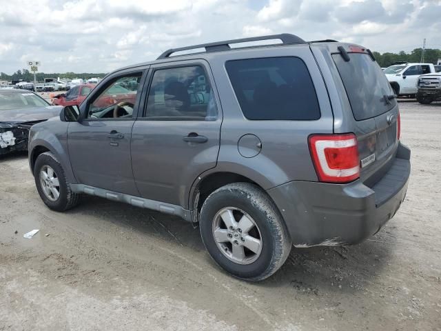 2009 Ford Escape XLT