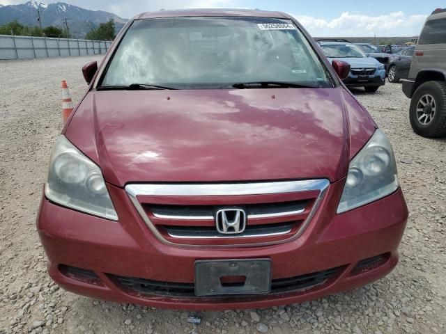 2005 Honda Odyssey EXL