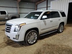 Cadillac salvage cars for sale: 2017 Cadillac Escalade Luxury