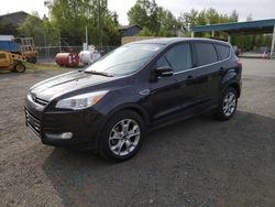 2013 Ford Escape SEL for sale in Anchorage, AK