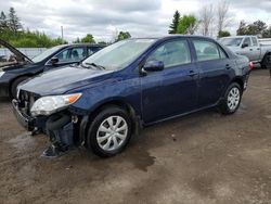 Salvage cars for sale from Copart Ontario Auction, ON: 2011 Toyota Corolla Base