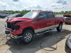 2013 Ford F150 Supercrew for sale in Louisville, KY