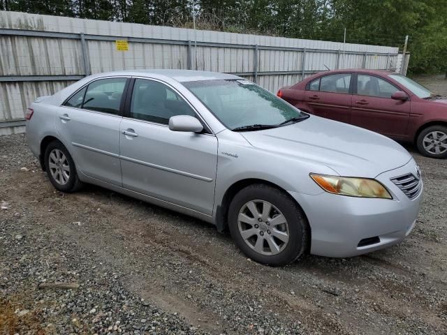 2007 Toyota Camry Hybrid