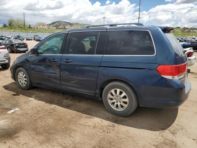 2010 Honda Odyssey EXL