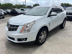 2012 Cadillac SRX Luxury Collection for sale in Opa Locka, FL