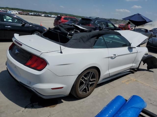 2019 Ford Mustang