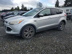 Ford Escape Titanium Vehiculos salvage en venta: 2014 Ford Escape Titanium