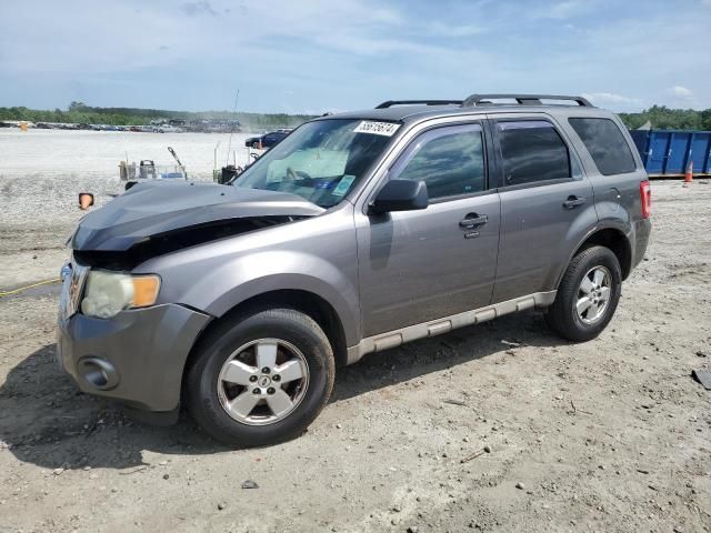 2009 Ford Escape XLT