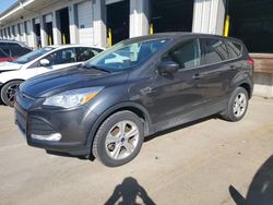 2016 Ford Escape SE en venta en Louisville, KY