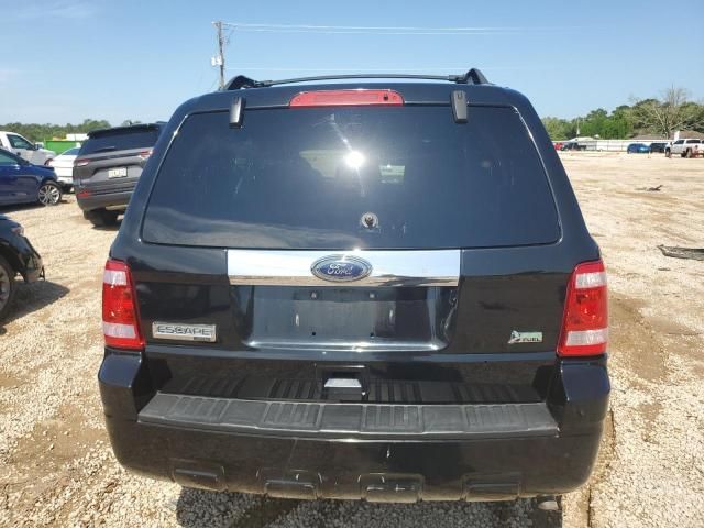 2010 Ford Escape Limited