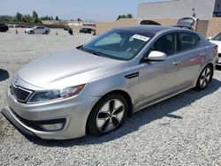 2013 KIA Optima Hybrid for sale in Mentone, CA