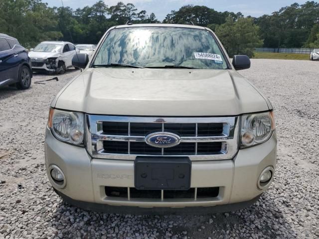 2012 Ford Escape XLT