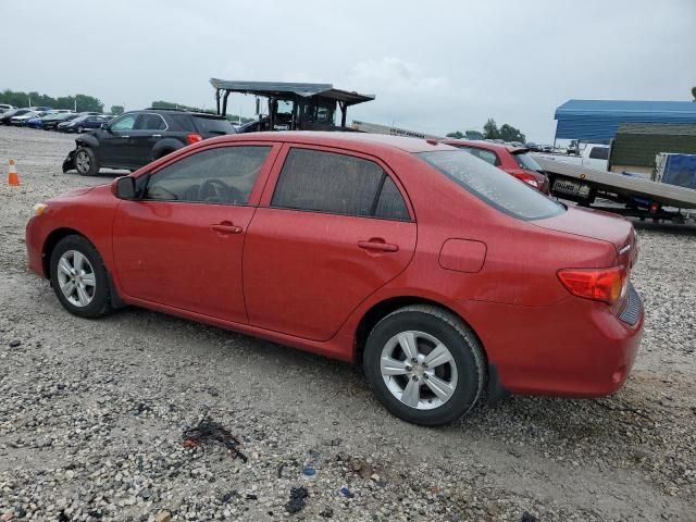 2010 Toyota Corolla Base