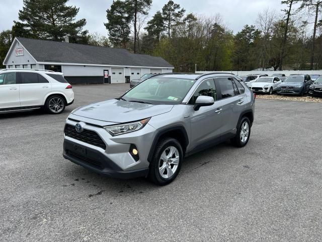 2019 Toyota Rav4 XLE