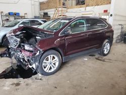 2019 Ford Edge SEL for sale in Ham Lake, MN