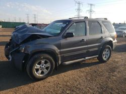 Ford salvage cars for sale: 2006 Ford Escape XLT