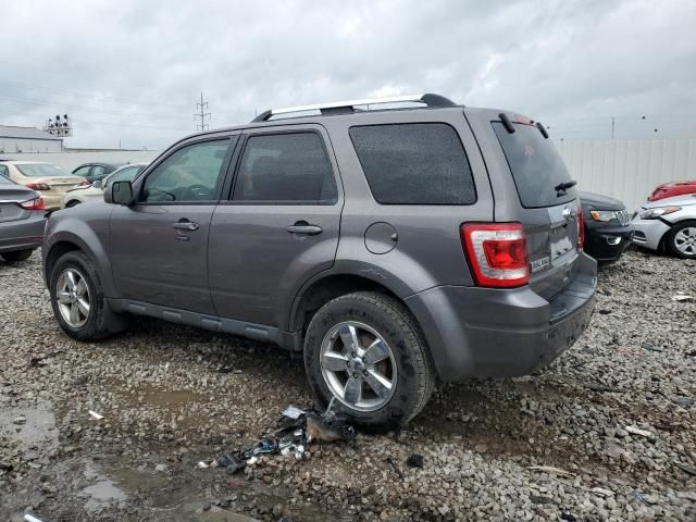 2012 Ford Escape Limited