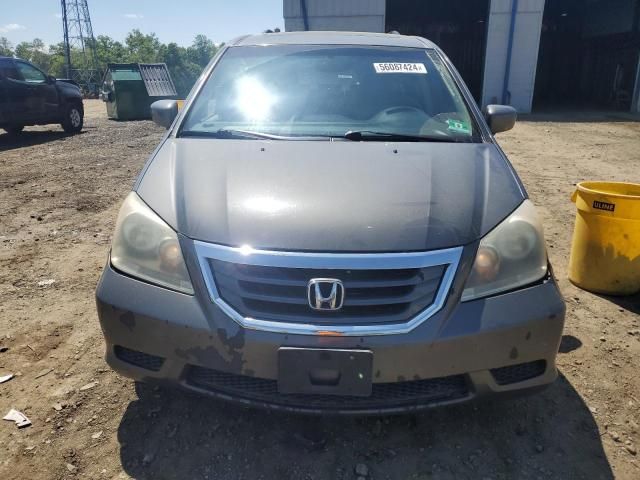 2008 Honda Odyssey EXL