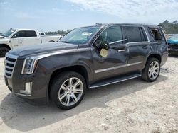 Cadillac salvage cars for sale: 2017 Cadillac Escalade Luxury