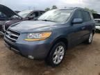 2009 Hyundai Santa FE SE