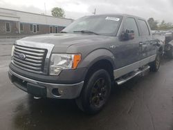 Ford Vehiculos salvage en venta: 2010 Ford F150 Supercrew