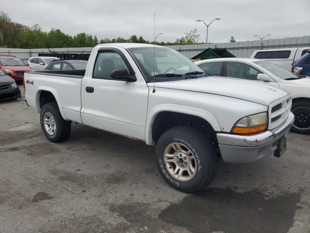 2003 Dodge Dakota SLT