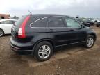 2010 Honda Cr-v exl