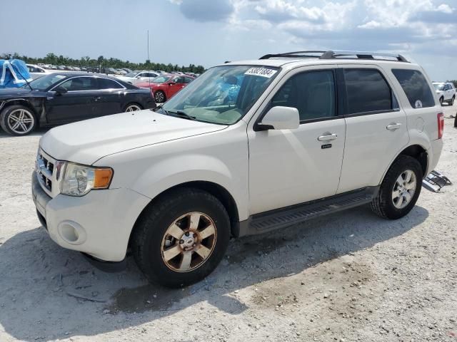 2012 Ford Escape Limited