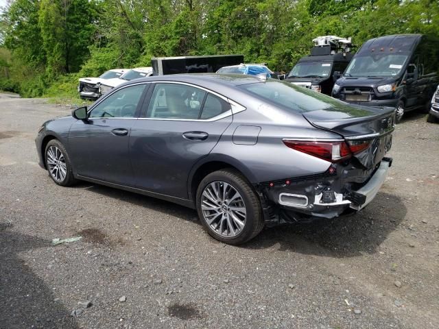 2021 Lexus ES 250 Base