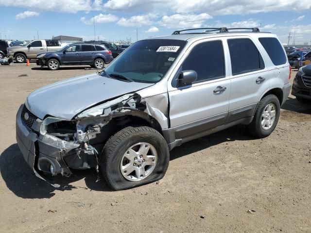 2007 Ford Escape XLT