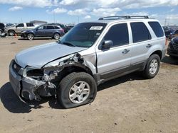 Ford Escape salvage cars for sale: 2007 Ford Escape XLT