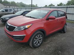Salvage cars for sale from Copart York Haven, PA: 2014 KIA Sportage Base