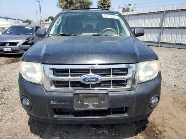 2010 Ford Escape XLT