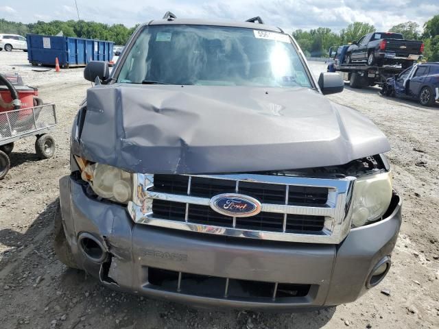 2009 Ford Escape XLT