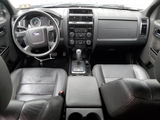 2010 Ford Escape Limited