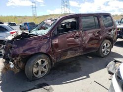 Honda Pilot salvage cars for sale: 2015 Honda Pilot EXL