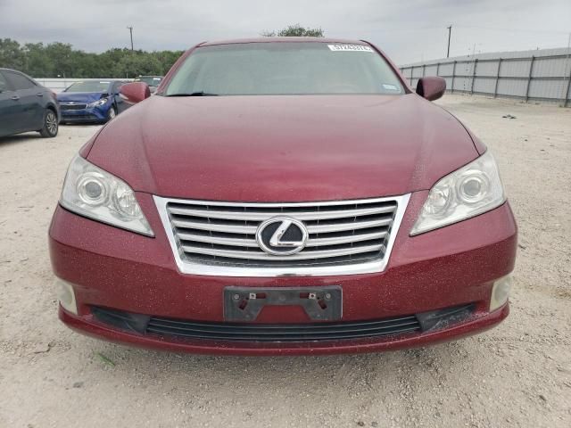 2010 Lexus ES 350