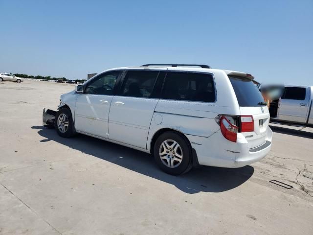 2007 Honda Odyssey EXL