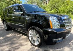 2013 Cadillac Escalade ESV Platinum en venta en Chicago Heights, IL