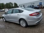 2013 Ford Fusion SE Hybrid