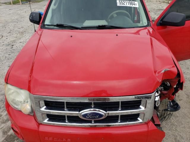 2009 Ford Escape XLT