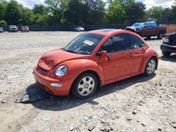 Volkswagen Beetle Vehiculos salvage en venta: 2003 Volkswagen New Beetle GLS