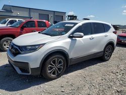 2020 Honda CR-V EXL en venta en Earlington, KY