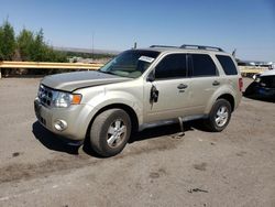Salvage cars for sale from Copart Albuquerque, NM: 2012 Ford Escape XLT