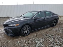 Toyota Camry salvage cars for sale: 2022 Toyota Camry SE
