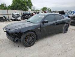 Dodge Charger salvage cars for sale: 2016 Dodge Charger SXT